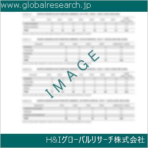 グローバルリサーチ調査資料のイメージ